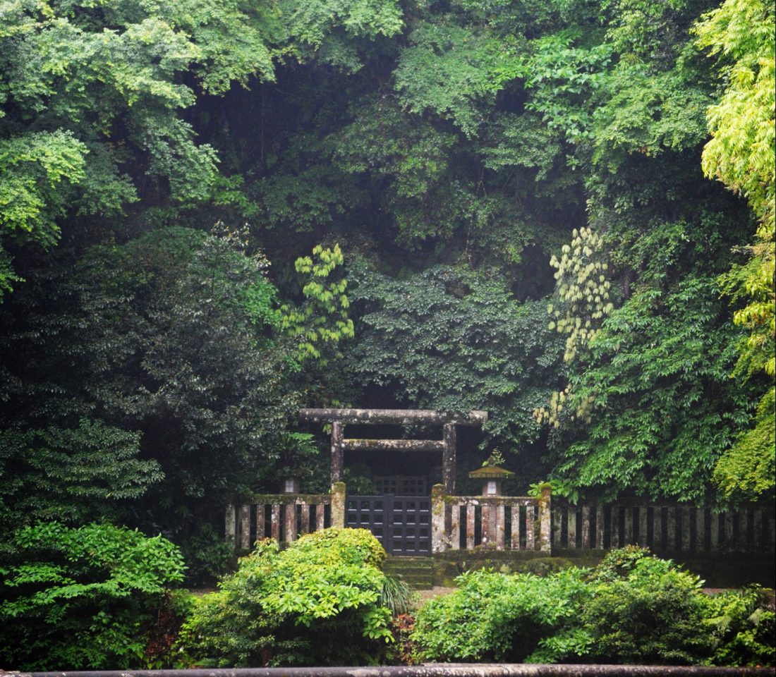 【車で20分】吾平山稜